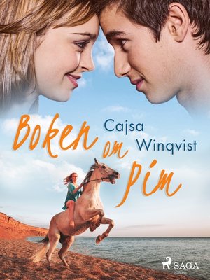 cover image of Boken om Pim